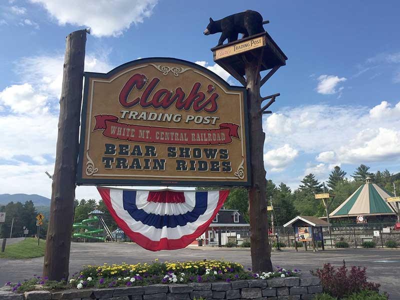 Enjoy your cabin rentals at the PMR and then take the family to see Clark's Bears in Lincoln.