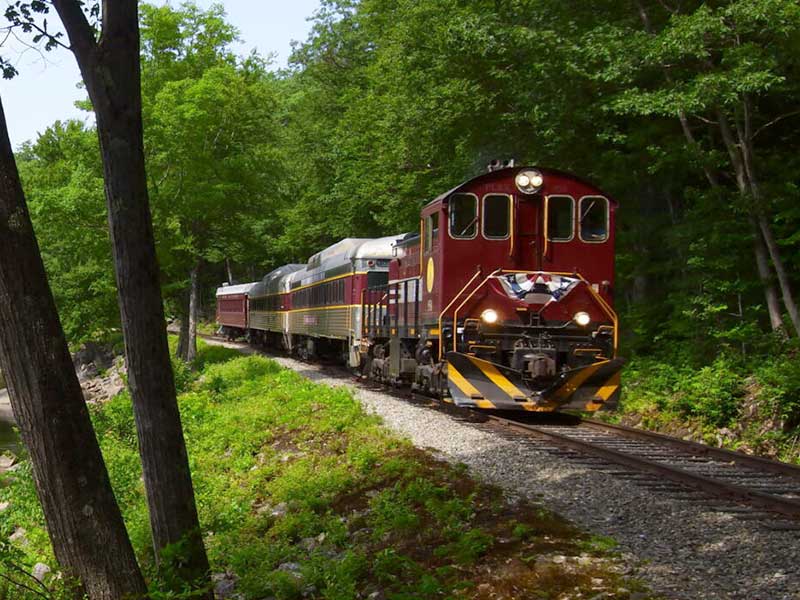 25 miles from your rental cabin at the PMR is the hobo railroad family-friendly attraction!