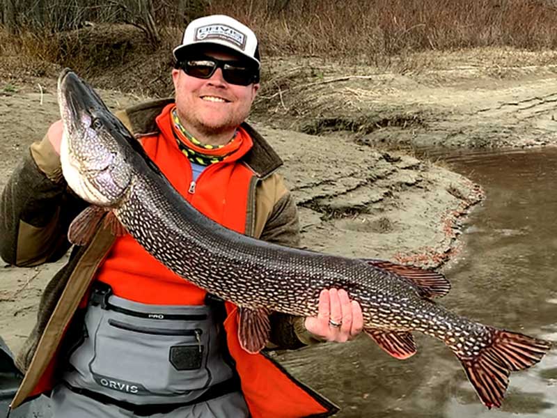 take in some fly fishing with your rental cabins at the pmr